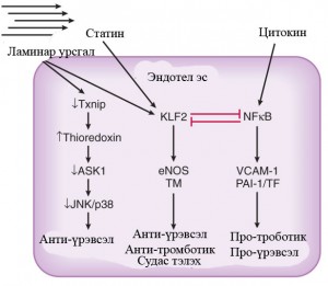 Зураг 2