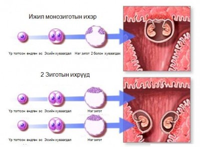 Зураг 2
