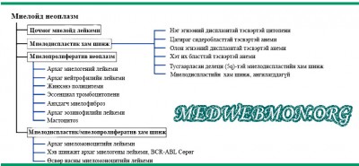 Зураг№1