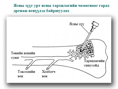 Зураг №1
