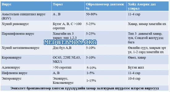 Хүснэгт №1