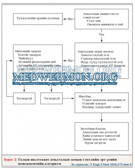 Inhalation-injury-3