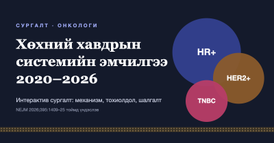 Хөхний хавдрын системийн эмчилгээ 2020–2026: HR+, HER2+, TNBC дэд хэлбэрүүдийг илэрхийлсэн нүүр зураг